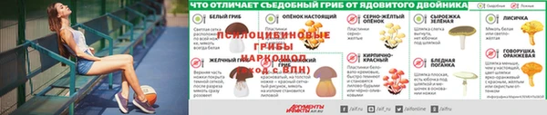 тгк Баксан