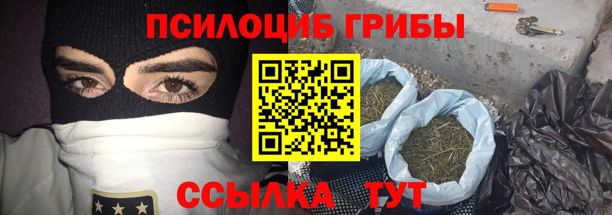 Галлюциногенные грибы Psilocybe  Вход с VPN  Краснокаменск  Галлюциногенные грибы прущие грибы 