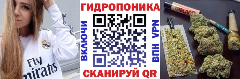 hydra ТОР  закладка  Краснокаменск  Каннабис сатива 